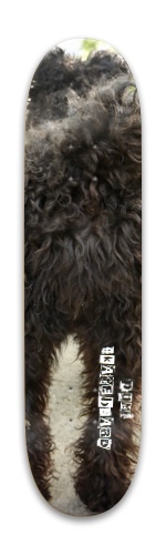 Miska the Hungarian pumi Skateboards, Longboards and Grip Tape Image