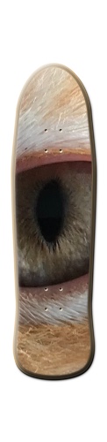 Design 474721 Skateboards, Longboards and Grip Tape