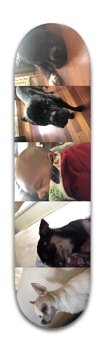 Design 474938 Skateboards, Longboards and Grip Tape Image