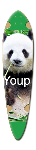 panda