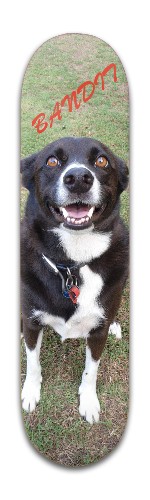 Design 478828 Skateboards, Longboards and Grip Tape Image