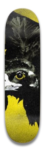 Design 478861 Skateboards, Longboards and Grip Tape Image