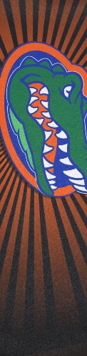 Design 479011 Skateboards, Longboards and Grip Tape