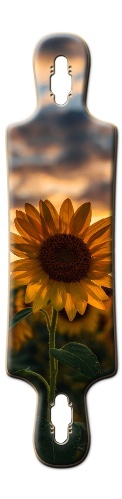Design 480753