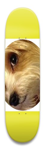 Design 482527 Skateboards, Longboards and Grip Tape