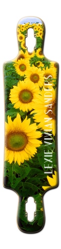 Design 482785 Skateboards, Longboards and Grip Tape