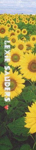 Design 482885