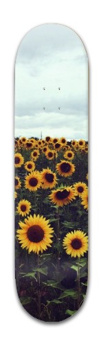 Design 483435 Skateboards, Longboards and Grip Tape Image