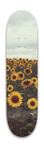 Design 483436 Skateboards, Longboards and Grip Tape Image