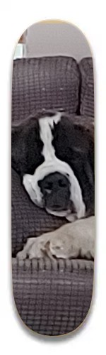 Design 483511 Skateboards, Longboards and Grip Tape Image