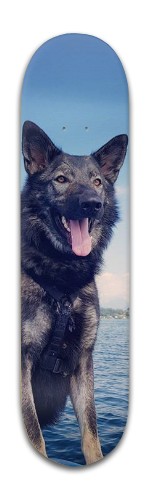 Design 483706 Skateboards, Longboards and Grip Tape Image