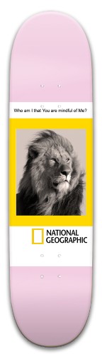 Get Real Skateboards, Longboards and Grip Tape Image