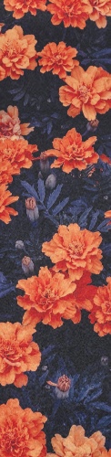 Design 486066