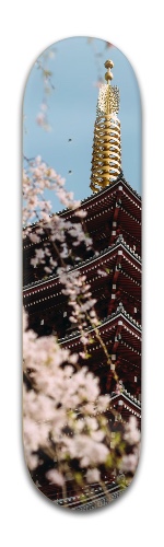 Design 486114 Skateboards, Longboards and Grip Tape Image