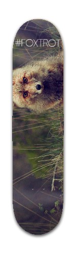 Design 486683 Skateboards, Longboards and Grip Tape Image