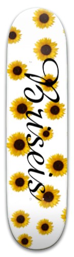 Bri Skateboards, Longboards and Grip Tape Image