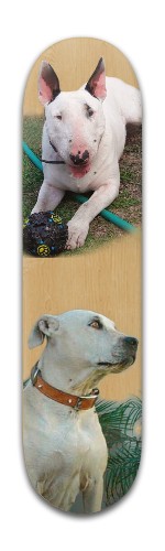 Design 487023 Skateboards, Longboards and Grip Tape