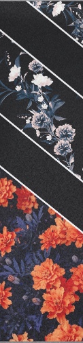 Design 487251 Skateboards, Longboards and Grip Tape