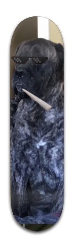 Design 488649 Skateboards, Longboards and Grip Tape Image