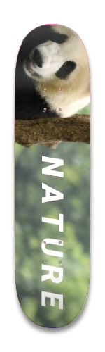 Design 488724 Skateboards, Longboards and Grip Tape Image