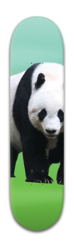 Design 490210 Skateboards, Longboards and Grip Tape Image