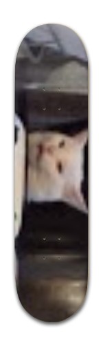 Design 490535 Skateboards, Longboards and Grip Tape Image