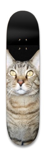 Design 490545 Skateboards, Longboards and Grip Tape Image