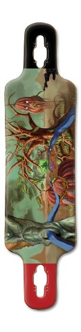 Design 491158 Skateboards, Longboards and Grip Tape Image