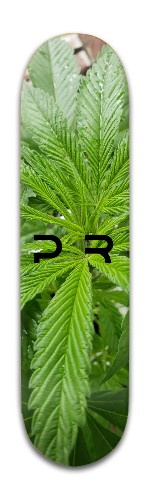 Design 491642 Skateboards, Longboards and Grip Tape Image