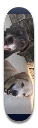 Design 492189 Skateboards, Longboards and Grip Tape Image