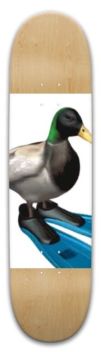 Design 492349 Skateboards, Longboards and Grip Tape Image