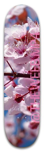 Design 492960 Skateboards, Longboards and Grip Tape