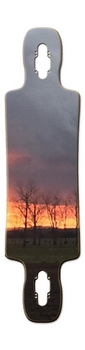 Design 493152 Skateboards, Longboards and Grip Tape