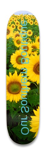Design 493444 Skateboards, Longboards and Grip Tape Image