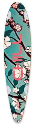 Design 493601 Skateboards, Longboards and Grip Tape Image