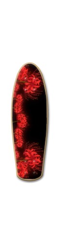 Design 493619 Skateboards, Longboards and Grip Tape Image