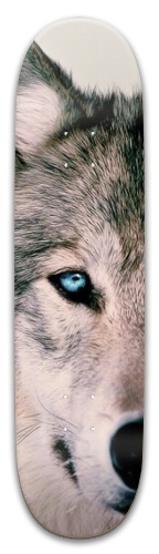 Design 494373 Skateboards, Longboards and Grip Tape