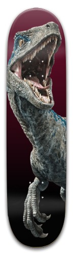 Design 495800 Skateboards, Longboards and Grip Tape