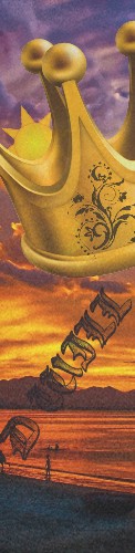 Design 496106 Skateboards, Longboards and Grip Tape