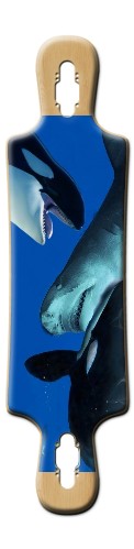 Design 497033 Skateboards, Longboards and Grip Tape
