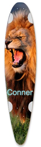 Design 497444 Skateboards, Longboards and Grip Tape