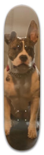 Design 498677 Skateboards, Longboards and Grip Tape Image