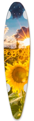 Design 498842 Skateboards, Longboards and Grip Tape Image