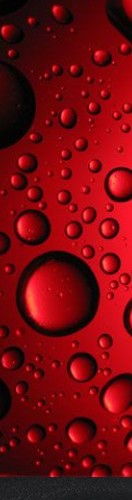 Design 499217 Skateboards, Longboards and Grip Tape Image