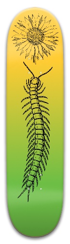 Design 499707 Skateboards, Longboards and Grip Tape