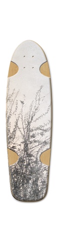 Design 502133 Skateboards, Longboards and Grip Tape