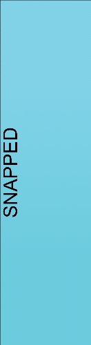 Design 502215 Skateboards, Longboards and Grip Tape