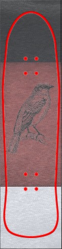 Design 502411 Skateboards, Longboards and Grip Tape Image