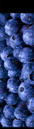 Design 503026 Skateboards, Longboards and Grip Tape Image