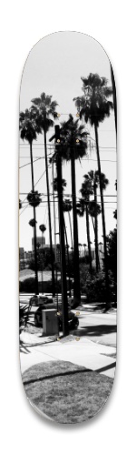 Sk818